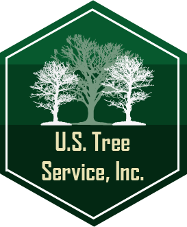 U.S. Tree Service